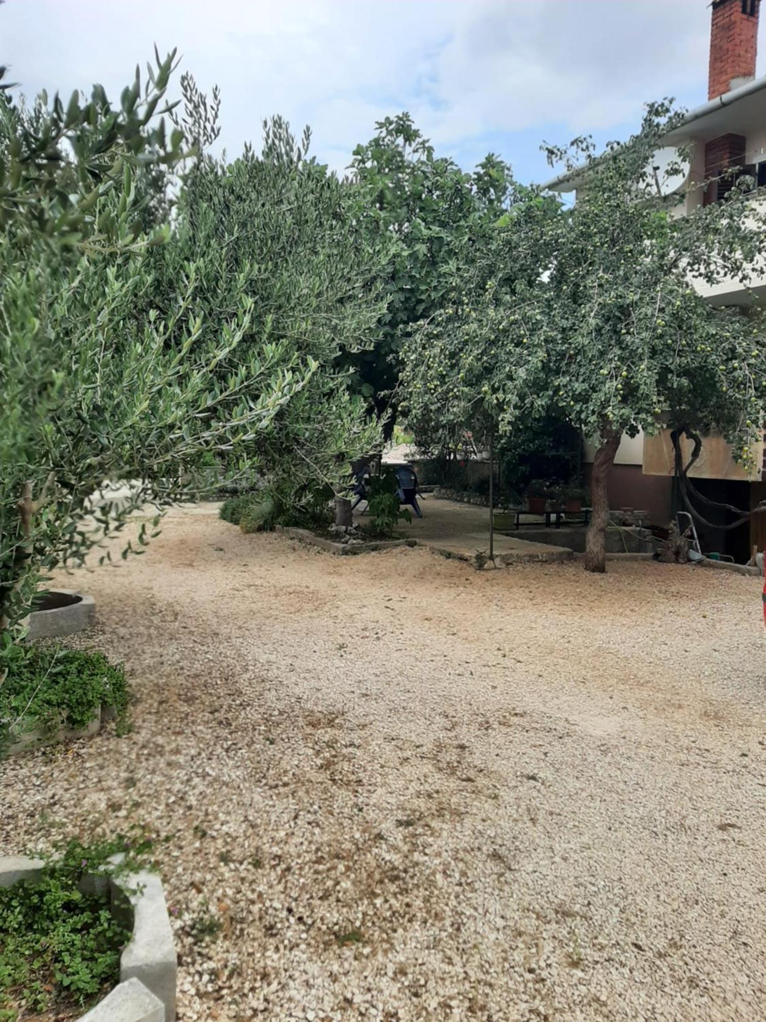 Apartmani Marija Povljana Zimmer foto