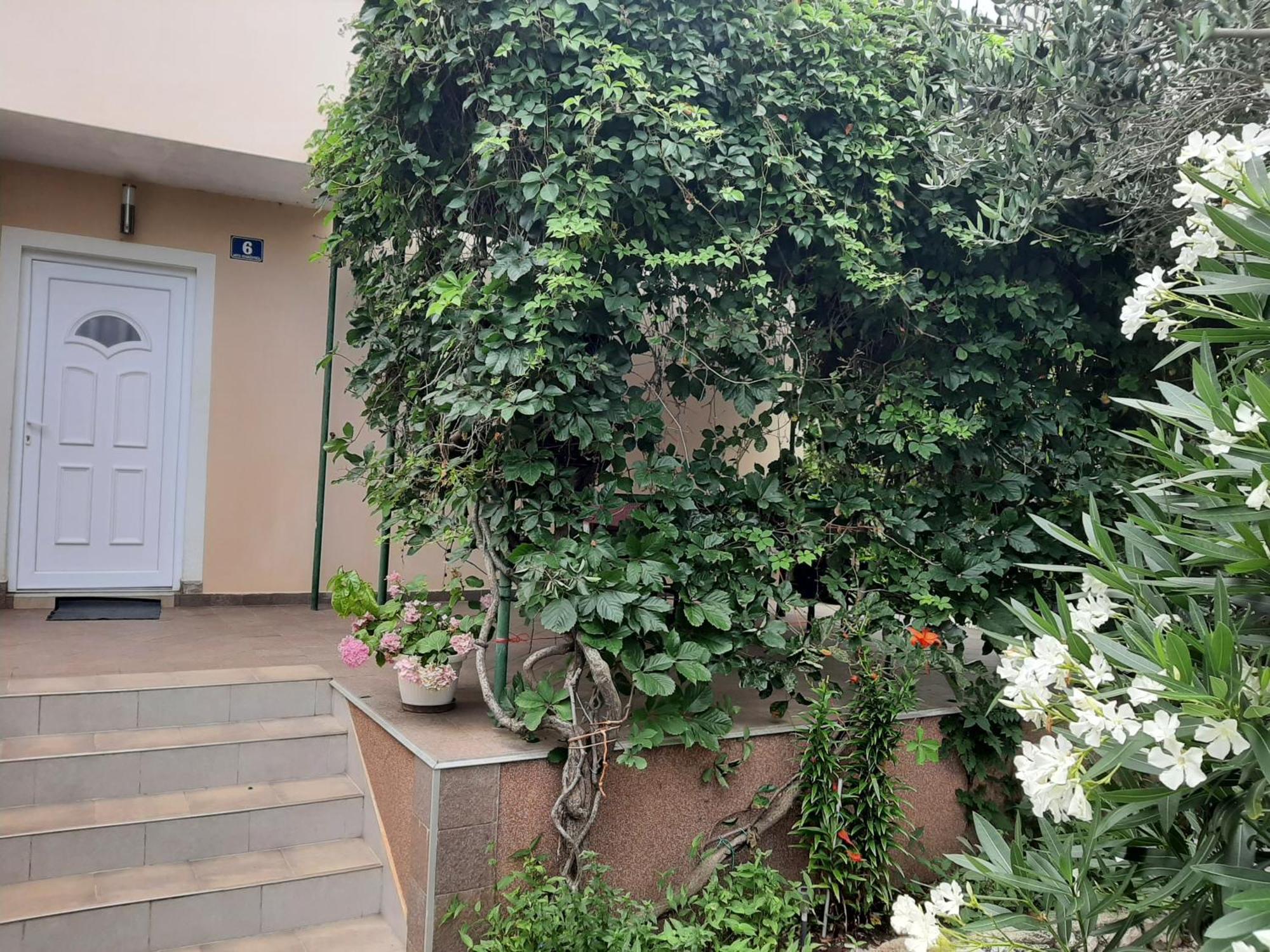 Apartmani Marija Povljana Zimmer foto
