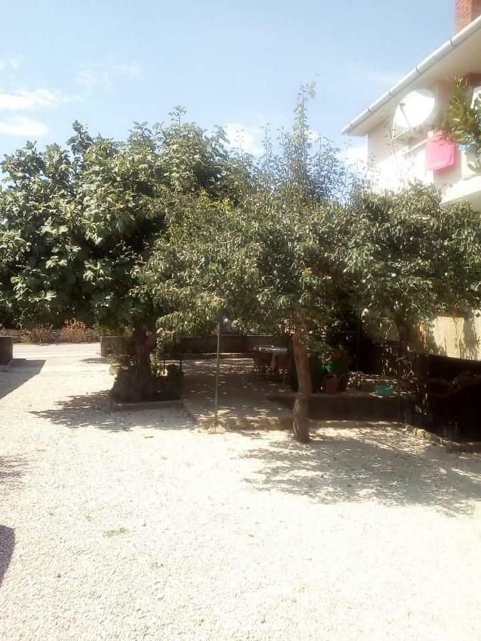 Apartmani Marija Povljana Exterior foto